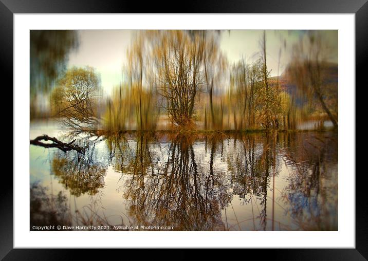 Trees on an Island Framed Mounted Print by Dave Harnetty