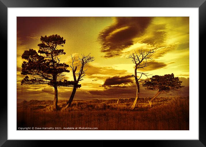 A Midsummers View-Sepia Framed Mounted Print by Dave Harnetty