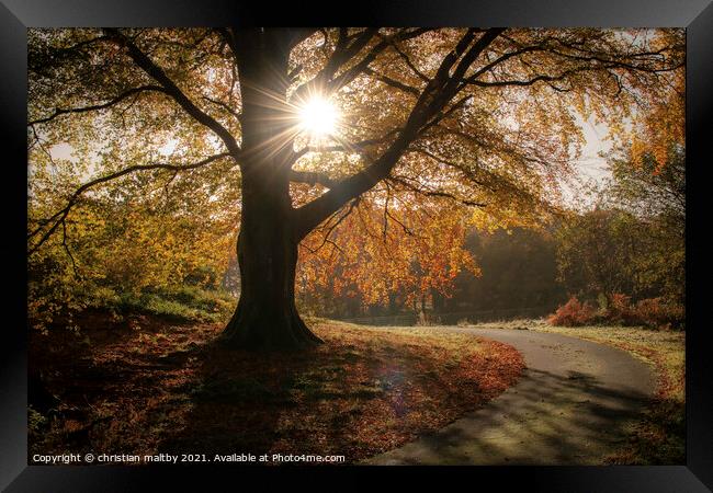 Sunburst in autumn Scotland Framed Print by christian maltby