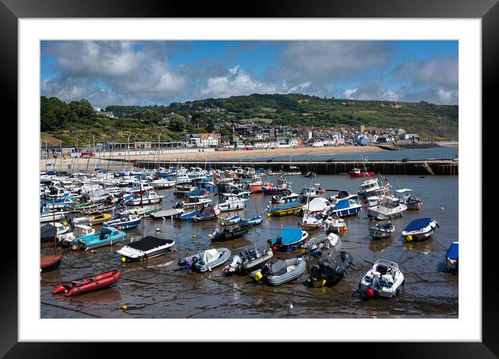 Lyme Regis Harbour  Framed Mounted Print by christian maltby