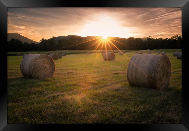 Make hay while the sunshine's Framed Print by christian maltby