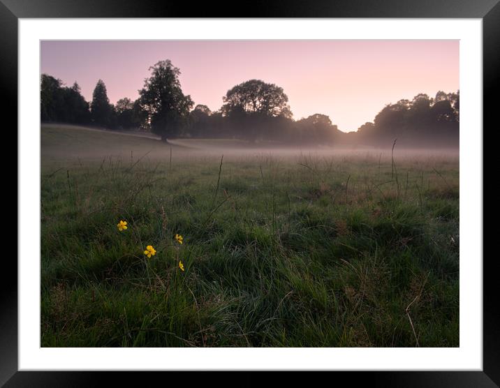 A misty field Dumfries  Framed Mounted Print by christian maltby