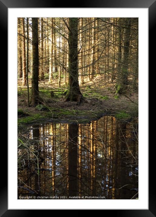 Forest refection's Framed Mounted Print by christian maltby