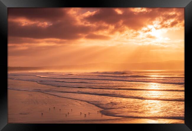 Gulls on the shore at Gwithian Beach, Hayle, Cornw Framed Print by Frank Farrell