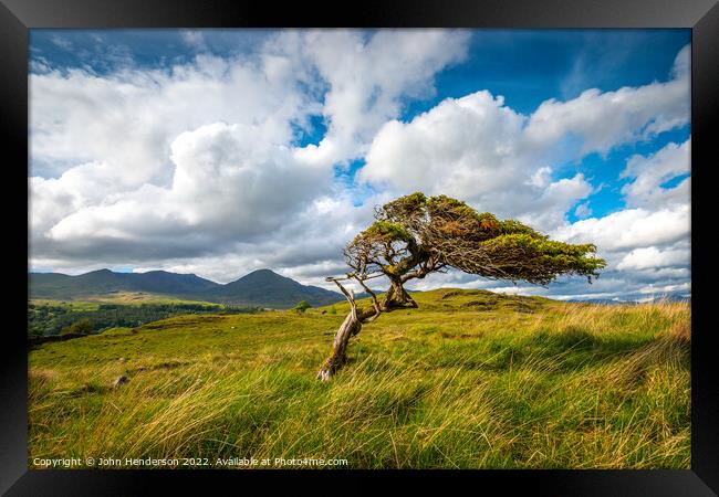 Lone tree  coniston  fells. Framed Print by John Henderson