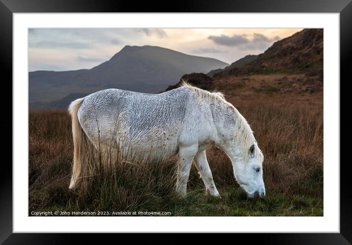 Welsh mountain Pony Framed Mounted Print by John Henderson