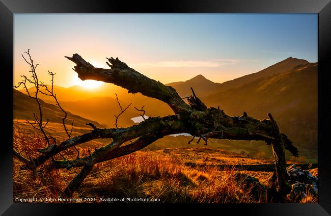 Sunset tree Framed Print by John Henderson