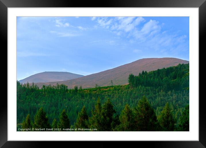 Enthralling Peaks: Tollymore Forest Vista Framed Mounted Print by Norbert David