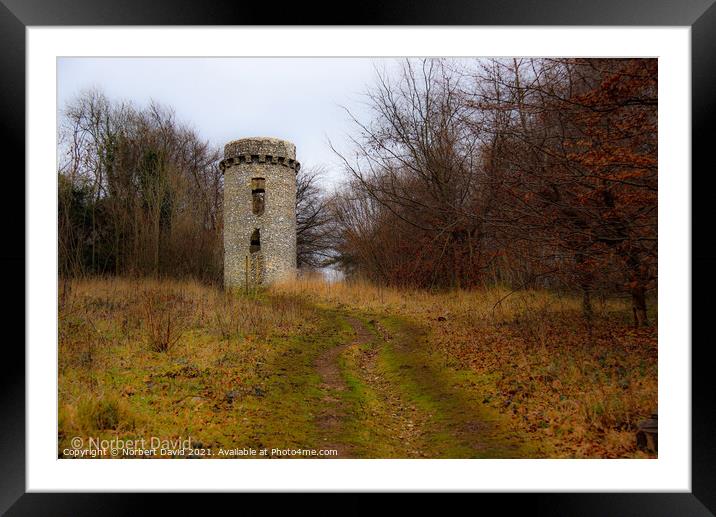 The tower Framed Mounted Print by Norbert David