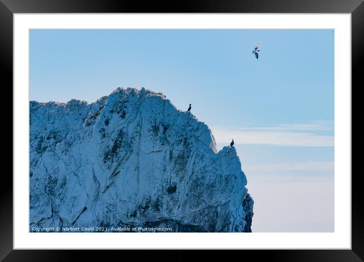 On the edge of the world Framed Mounted Print by Norbert David