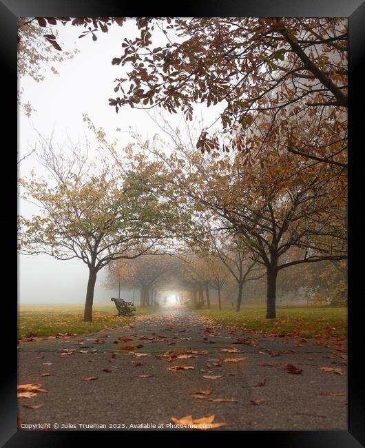 Exercise in Greenwich Park on a very foggy morning Framed Print by Jules D Truman