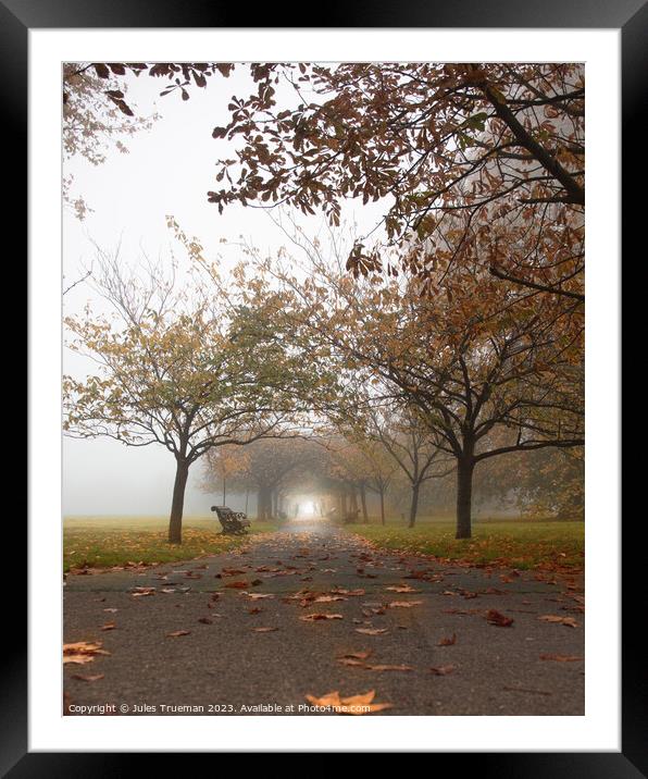 Exercise in Greenwich Park on a very foggy morning Framed Mounted Print by Jules D Truman