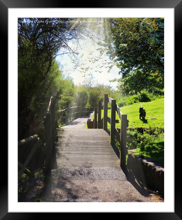 Woodland Walk Footbridge Framed Mounted Print by Jules D Truman