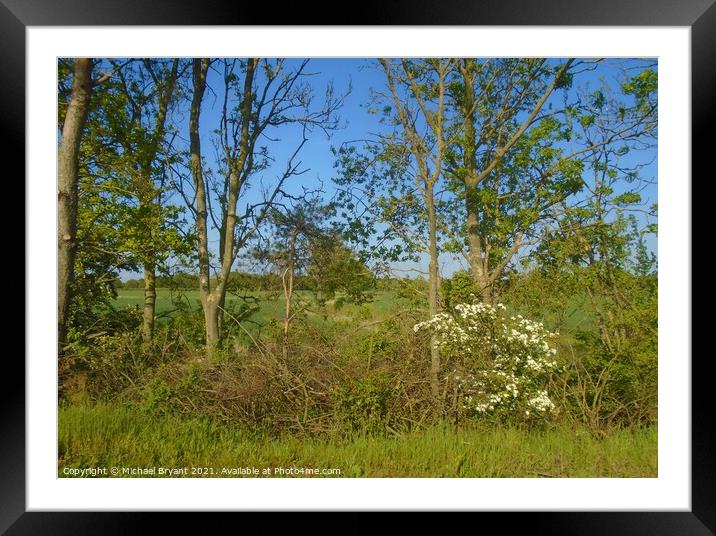 hedgerow in the essex countryside Framed Mounted Print by Michael bryant Tiptopimage