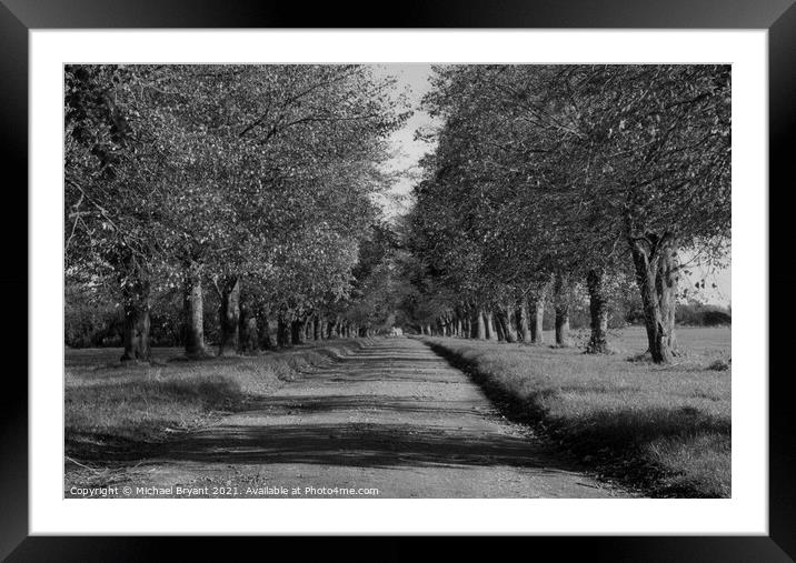 avenue to home Framed Mounted Print by Michael bryant Tiptopimage