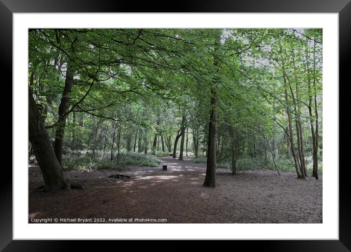 WOODLAND WALK Framed Mounted Print by Michael bryant Tiptopimage