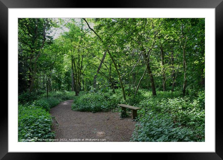 WOODLAND REST Framed Mounted Print by Michael bryant Tiptopimage