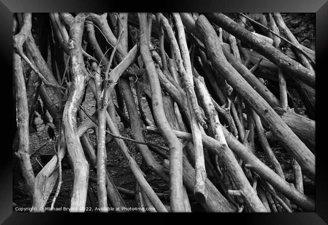 Stacked branches  Framed Print by Michael bryant Tiptopimage