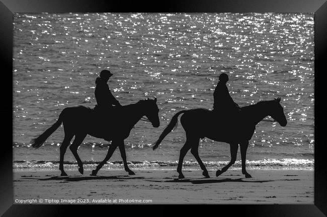 Horses on the beach Framed Print by Michael bryant Tiptopimage