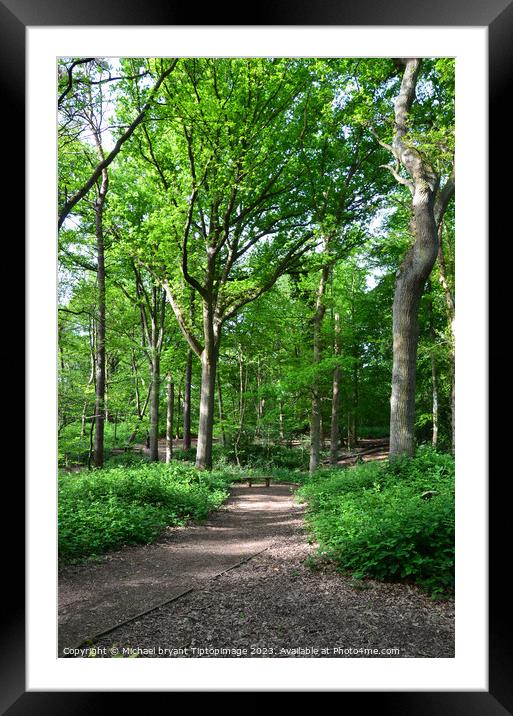 Highwood country park Colchester  Framed Mounted Print by Michael bryant Tiptopimage