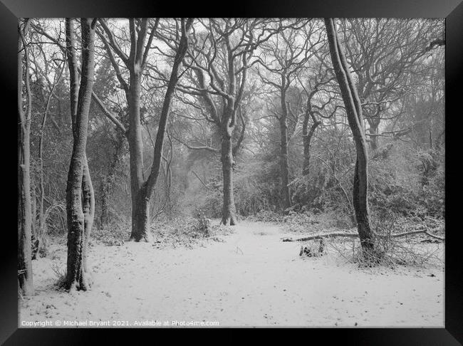 snow in pudsey forest in clacton Framed Print by Michael bryant Tiptopimage