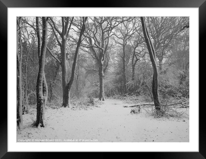 snow in pudsey forest in clacton Framed Mounted Print by Michael bryant Tiptopimage