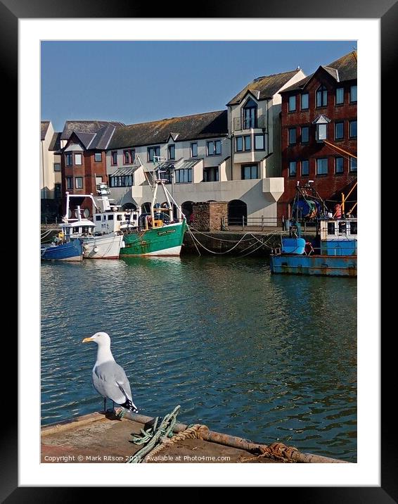The Seagull  Framed Mounted Print by Mark Ritson