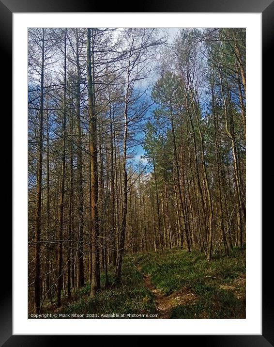 Walking through the Wood  Framed Mounted Print by Mark Ritson
