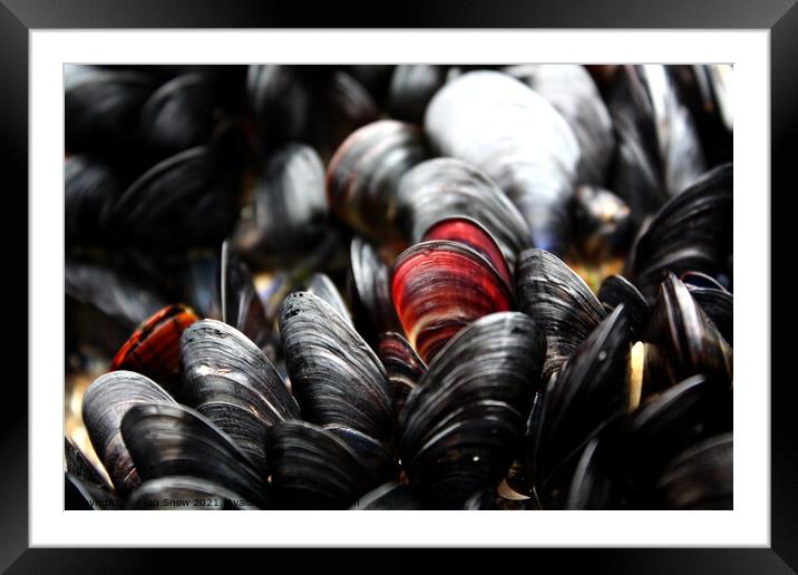 Red and Black Mussels Framed Mounted Print by Allan Snow