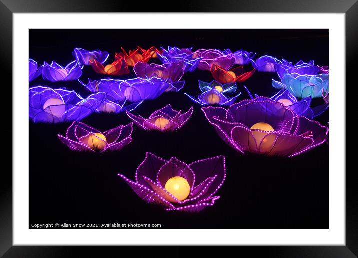 Festival of Light Floral Display Framed Mounted Print by Allan Snow