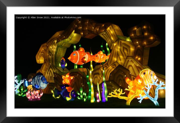 Festival of Light - Tropical Fish on a Reef Framed Mounted Print by Allan Snow