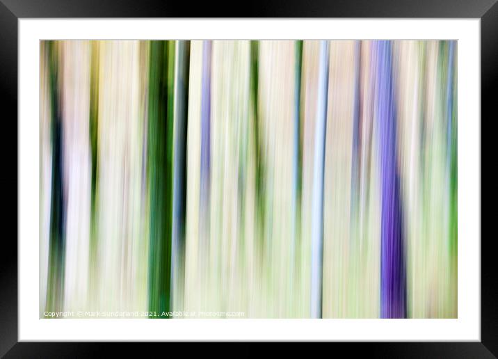 Abstract Pine Trees in Woodland near Grange Framed Mounted Print by Mark Sunderland