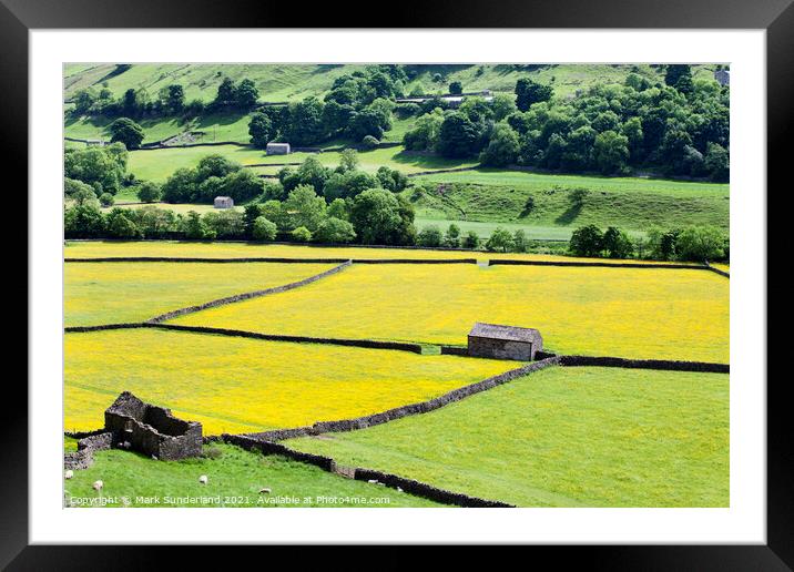 Barns and Dry Stone Walls at Gunnerside Framed Mounted Print by Mark Sunderland