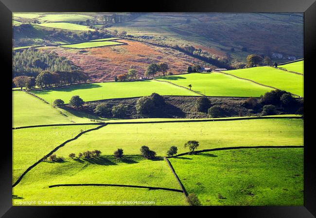 Fields and Dry Stone Walls in Nidderdale Framed Print by Mark Sunderland