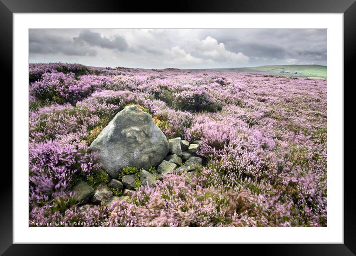Stone and Heather Blowing in the Wind near Pateley Bridge Framed Mounted Print by Mark Sunderland