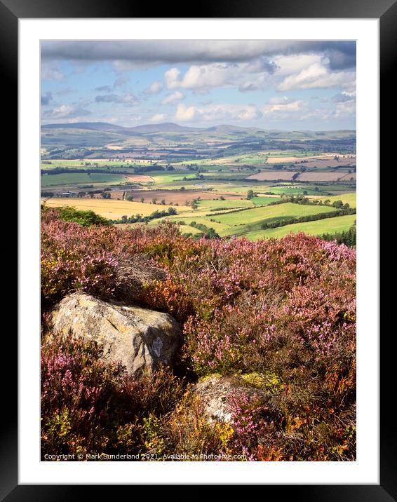 Heather Moorland in the Simonside Hills with Coquetdale and The Cheviots Framed Mounted Print by Mark Sunderland