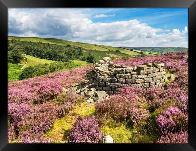 Ruined Beehive Condenser at Prosperous Mine Framed Print by Mark Sunderland