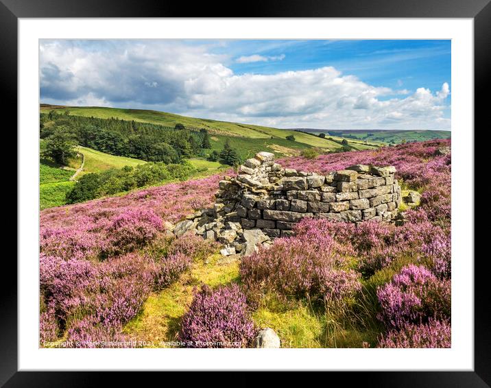 Ruined Beehive Condenser at Prosperous Mine Framed Mounted Print by Mark Sunderland