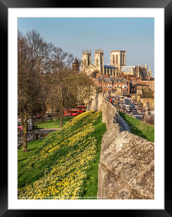 York City Wall and Minster in Spring Framed Mounted Print by Mark Sunderland