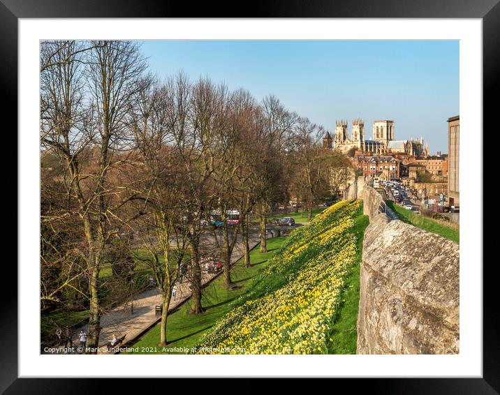 York City Wall and Minster in Spring Framed Mounted Print by Mark Sunderland