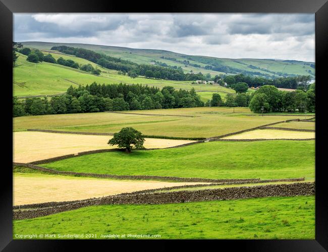 Nidderdale from Wath Road near Pateley Bridge Framed Print by Mark Sunderland