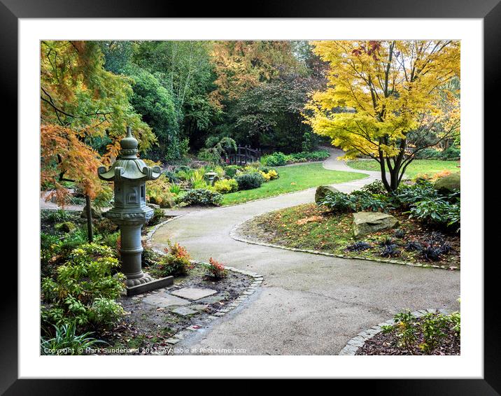Japanese Garden at Valley Gardens Harrogate Framed Mounted Print by Mark Sunderland