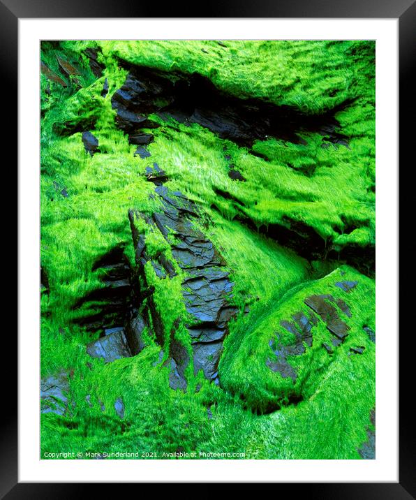Seaweed and Rock at Whitestone Cove Framed Mounted Print by Mark Sunderland