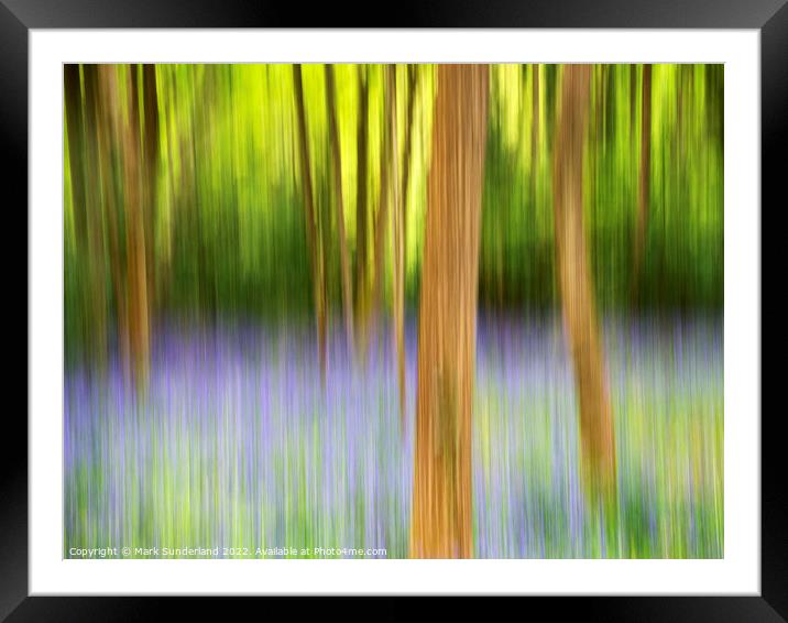 Abstract Bluebell Woodland Framed Mounted Print by Mark Sunderland