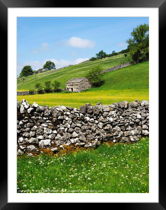 Barn and Buttercup Meadows in Wharfedale Framed Mounted Print by Mark Sunderland