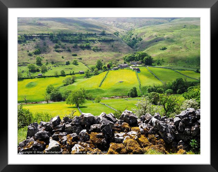 Buttercup Meadows in Upper Wharfedale Framed Mounted Print by Mark Sunderland