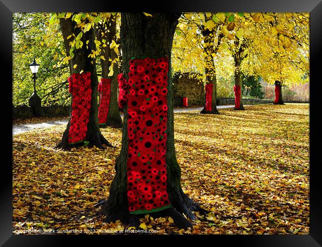 Remembrance Poppies on Autumn Trees in Knaresborough Framed Print by Mark Sunderland