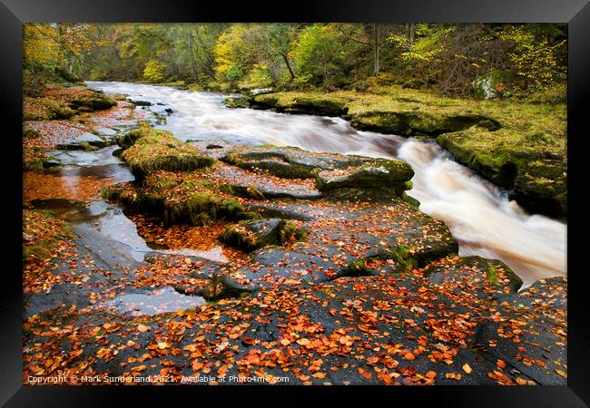 The Strid on the River Wharfe in Full Flow after Heavy Rain in Wharfedale Framed Print by Mark Sunderland