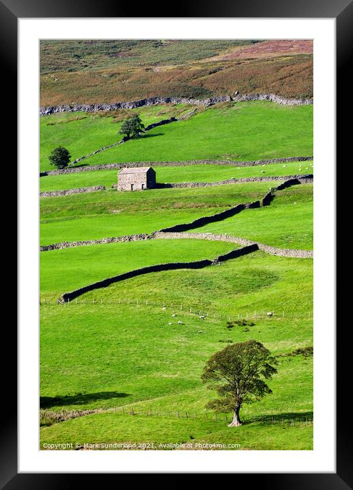 Barn and Dry Stone Walls in Upper Nidderdale Framed Mounted Print by Mark Sunderland