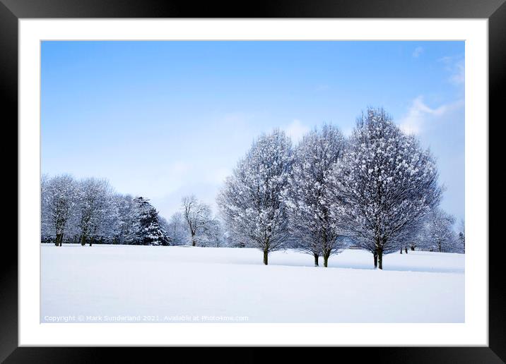 Winter Trees at Knaresborough Framed Mounted Print by Mark Sunderland